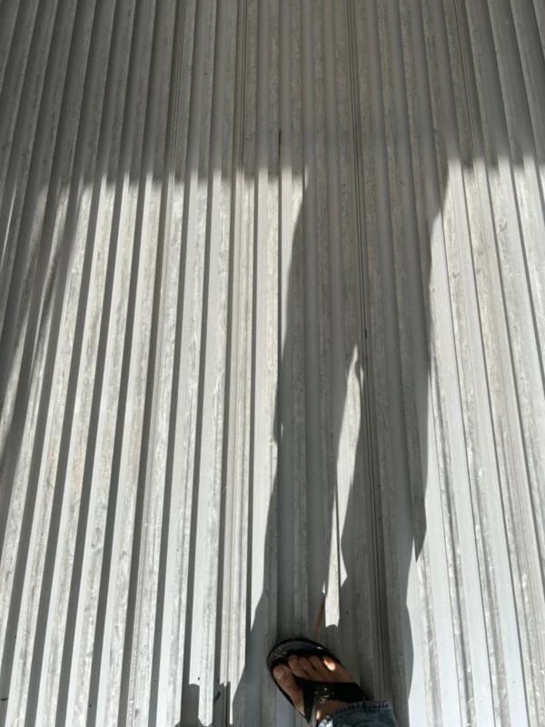 13-16 Refrigerator Container- 20ft 2017 Reefer